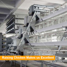 A Frame Galvanized Automatic Poultry Equipment for Layer